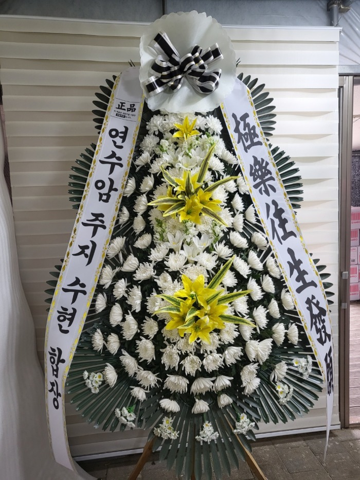 �μ���/���̼�