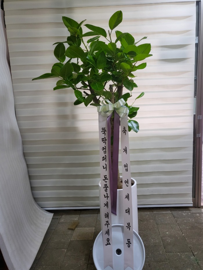�μ���/�賲��