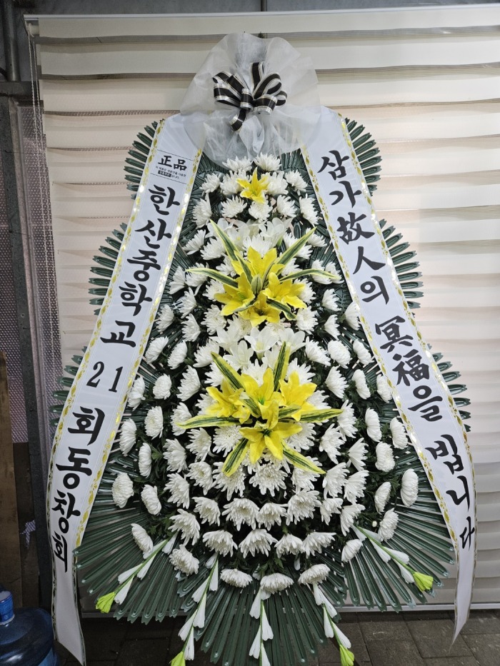 �μ���/�ǿ���