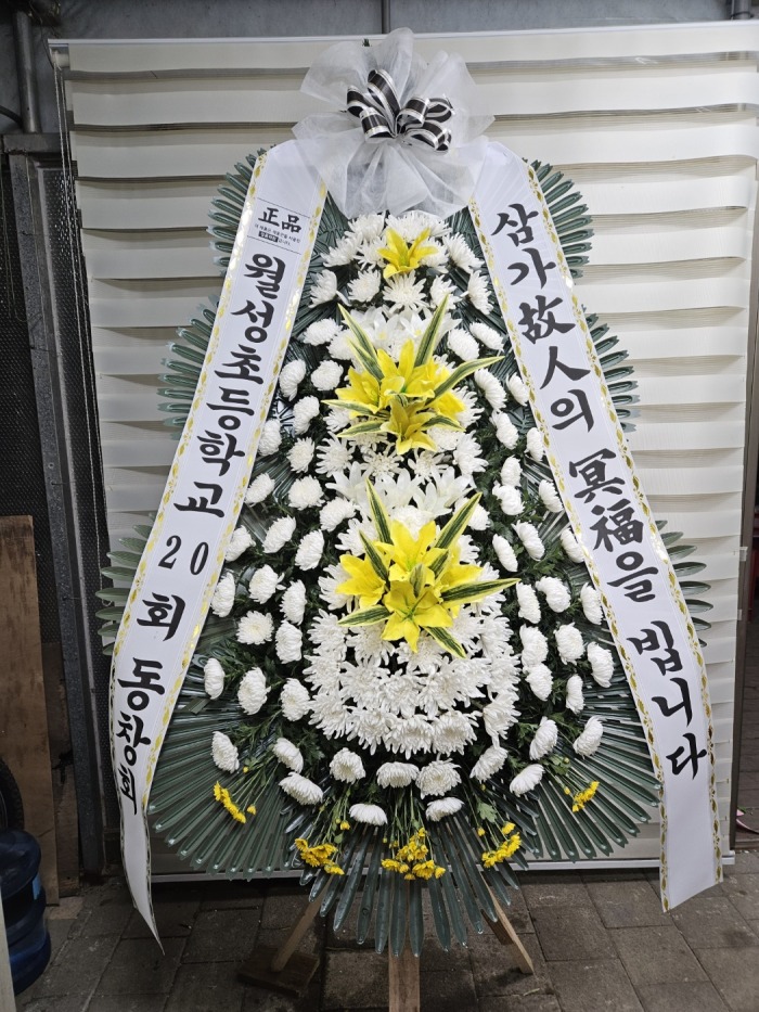 �μ���/�ں�ȯ