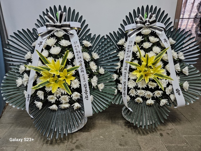 �μ���/�ڱ�õ