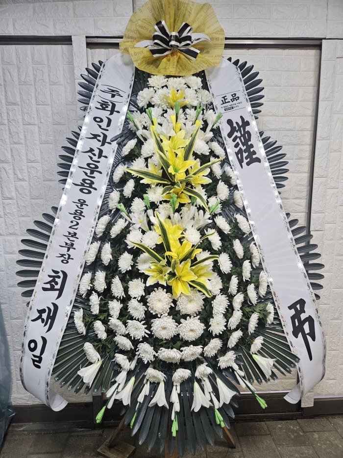 �μ���/�迬��
