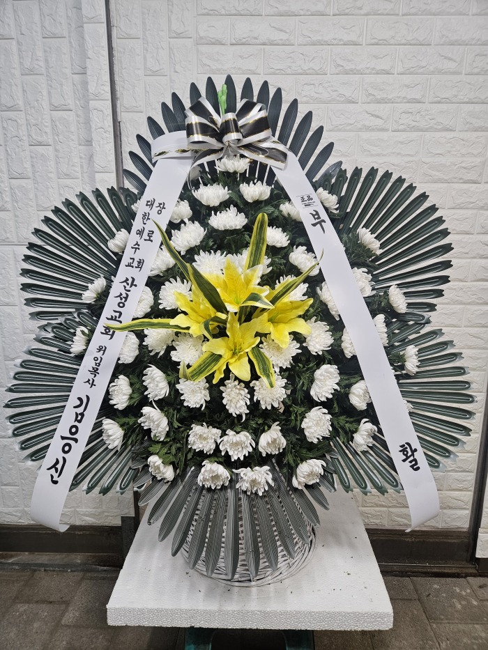 �μ���/���翵