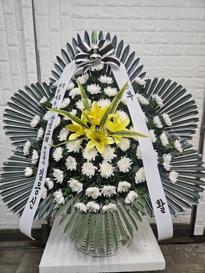 �μ���/���翵