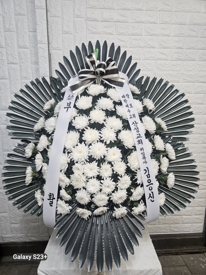 �μ���/��ȣ��